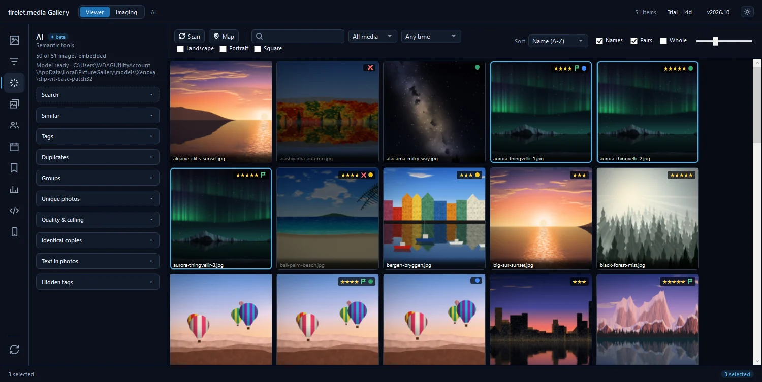 The AI panel after setup, showing all images embedded and the Search, Similar, Tags, Duplicates and other sections