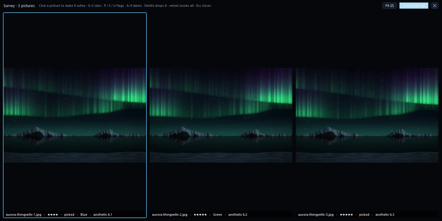 The Compare view with three similar frames side by side and the Zoom together and Fit controls