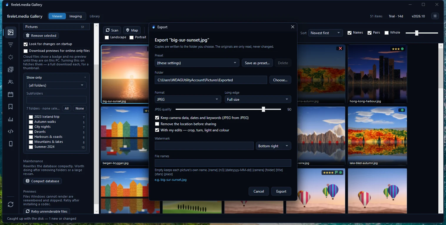 The Export window with Remove the location before sharing ticked
