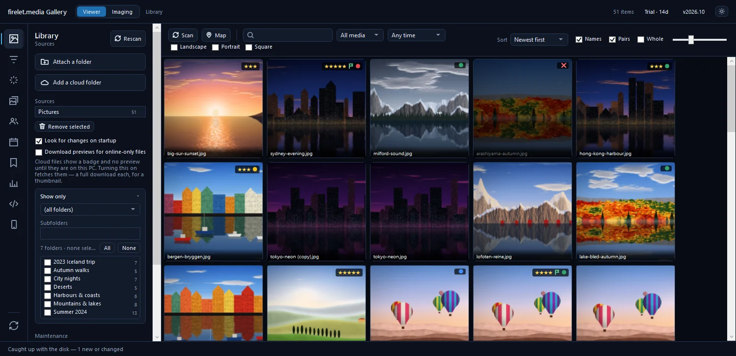 The main window with the Library panel open and a grid of photo tiles with their file names
